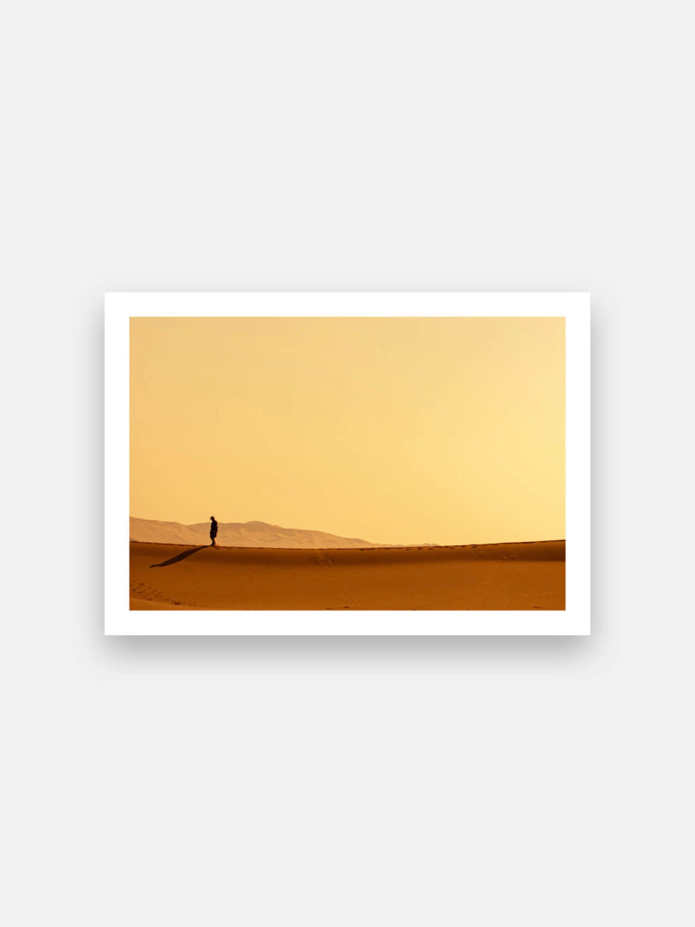 Dune Crawler One